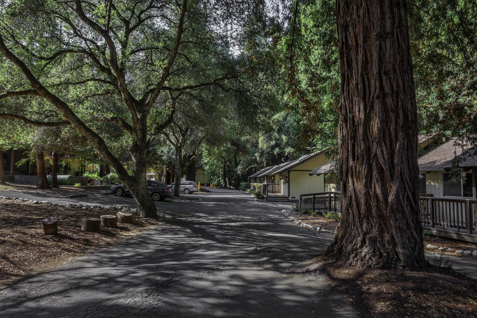 Big Sur Lodge מראה חיצוני תמונה