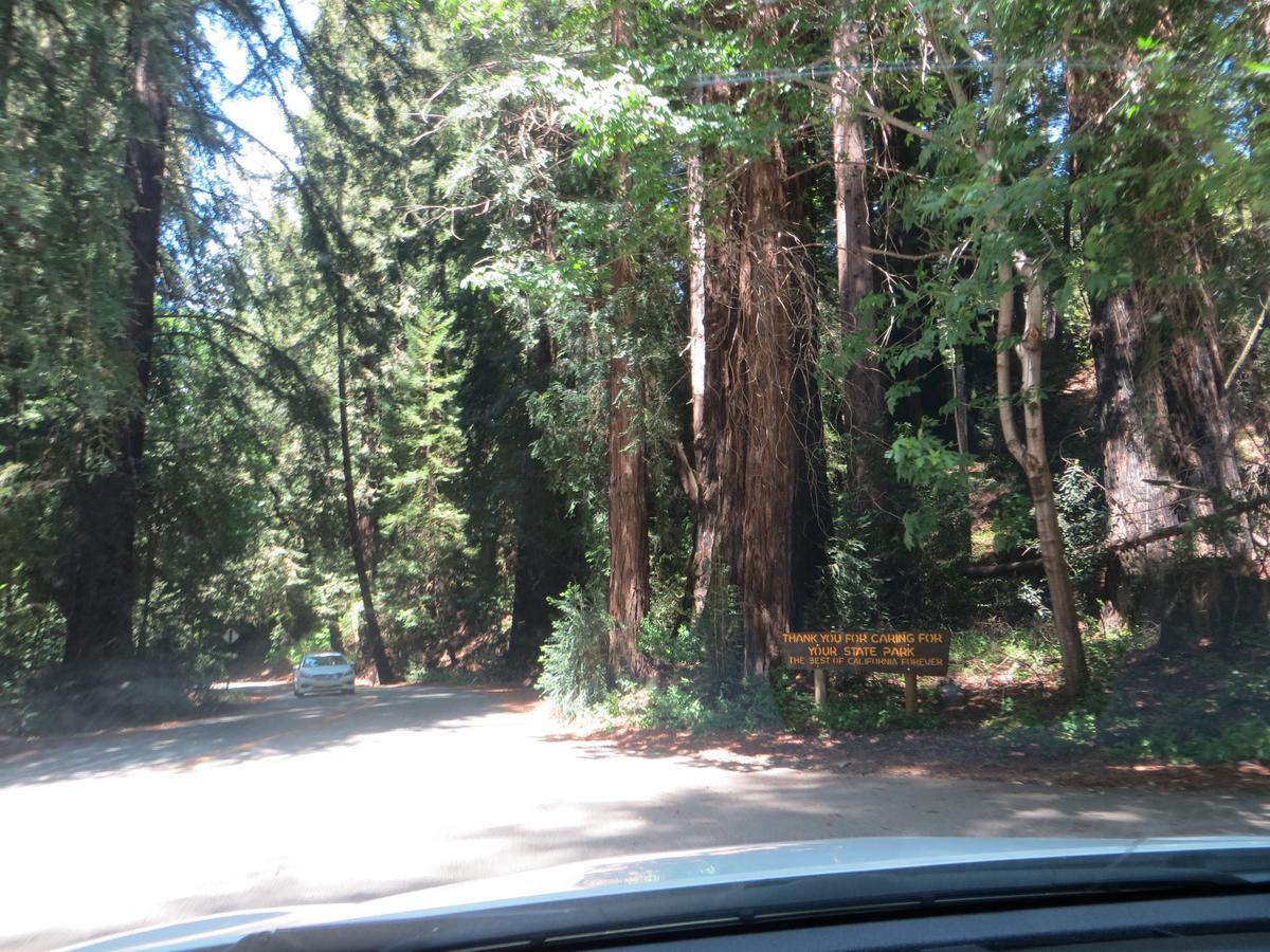 Big Sur Lodge מראה חיצוני תמונה